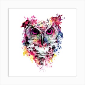 Owl Square Art Print