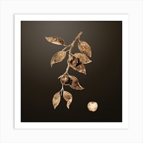 Gold Botanical Cherry Plum on Chocolate Brown n.4660 Art Print