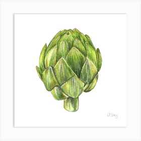 Artichoke Art Print