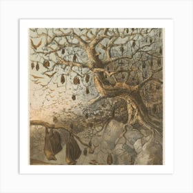 Bats Hanging From A Tree Art Print