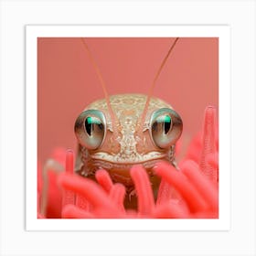 Grasshopper 1 Art Print