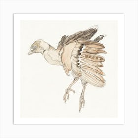 Dead Bird Partridge (1873–917) By Theo Van Hoytema Art Print