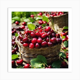 Cherry In Basket Art Print