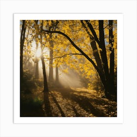 Sunbeams In The Forest Art Print