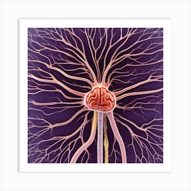 Brain And Spinal Cord 10 Art Print