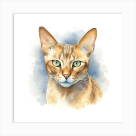 Zambian Cat Portrait Art Print