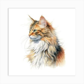 Cymric Longhair Manx Cat Portrait Art Print