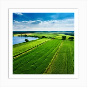 Grass Peace Air Structure Pasture Soy Bean High Country Rural Green Farm Overhead Natur (5) Art Print