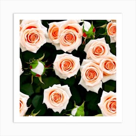 Roses Stock Videos & Royalty-Free Footage Art Print