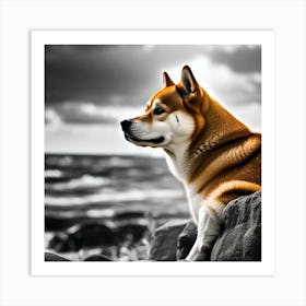 Shiba Inu 10 Art Print