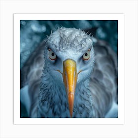 Portrait Of A Seagull 1 Art Print