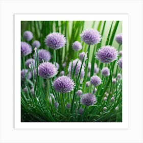 Chives 9 Art Print