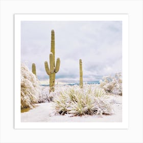 Blanket Of Snow In Desert Art Print