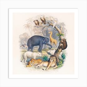 Vintage Animals Art Print