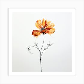 Orange Poppy Art Print