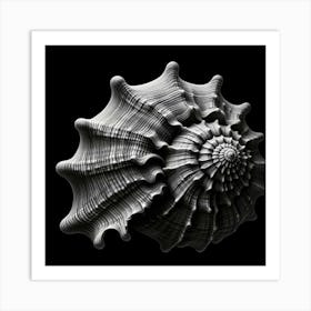 Seashell 1 Art Print