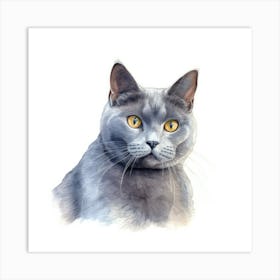 Chartreux Cat Portrait 1 Art Print