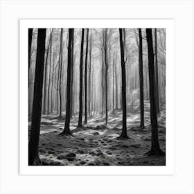 Black And White Forest 2 Art Print