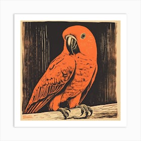 Retro Bird Lithograph Parrot 1 Art Print