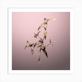 Gold Botanical Tagblume on Rose Quartz n.4946 Art Print