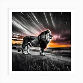 Lion At Sunset 11 Art Print