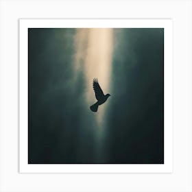 Silhouette Of A Dove Flying Art Print