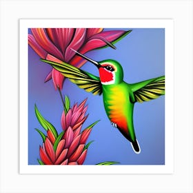 Hummingbird Art Print