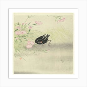 Bird In The Grass Art Print