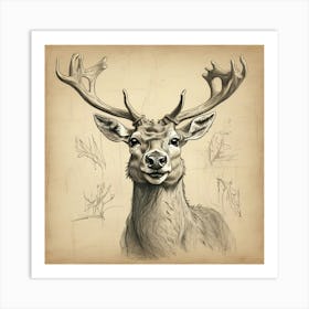 Deer Head 15 Art Print