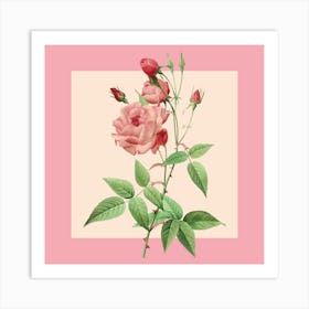 Pink Roses 1 Art Print