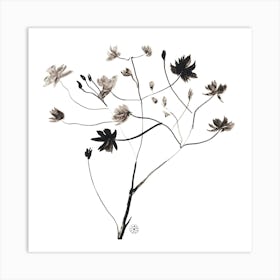 Ink Branch - minimal black and white simple line plant square Art Print