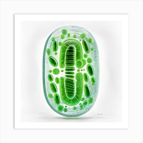 Mitochondria Cell Art Print