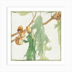 Acorns On A Branch Art Print