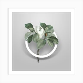 Vintage Magnolia Elegans Minimalist Floral Geometric Circle on Soft Gray n.0351 Art Print