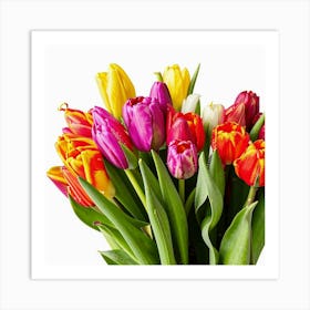 Colorful Tulips 1 Art Print