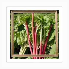 Rhubarb 85 Art Print