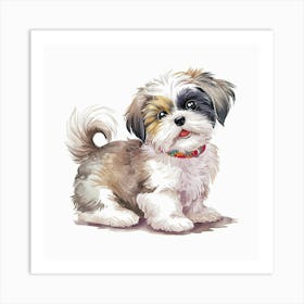 Shih Tzu Art Print