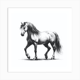 Horse In Black And White Art Print