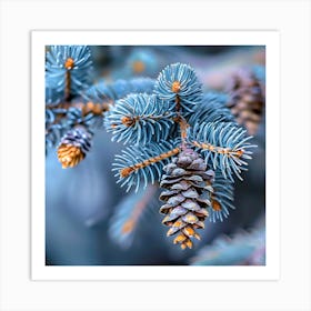 Frosted Pine Cones on Blue Spruce Branches Art Print