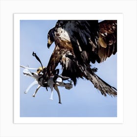 Eagle Flying A Drone Art Print