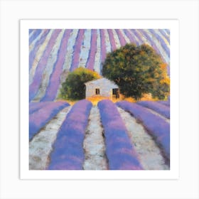 Lavender Field Canvas Print Art Print