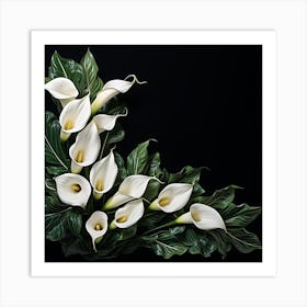 White Calla Lily On Black Background Art Print