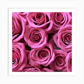 Pink Roses 13 Art Print