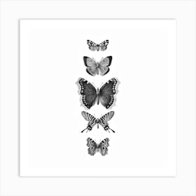 Inked Butterflies Bw Square Art Print
