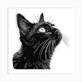 Black Cat 1 Art Print