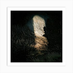 Firefly Light, Shadow, Face, Contrast, Interplay, Dramatic, Mysterious, Artistic, Ethereal, Chiarosc (9) Art Print