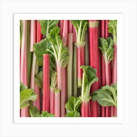 Rhubarb 75 Art Print