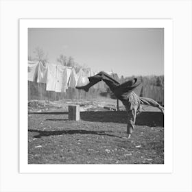 Lumberjack Turning Handspring Near Littlefork, Minnesota By Russell Lee Art Print