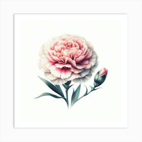 Carnation Flower 4 Art Print