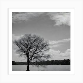 Lone Tree 1 Art Print